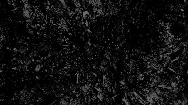 Dirt field leaves grass black free wallpaper - medium preview image