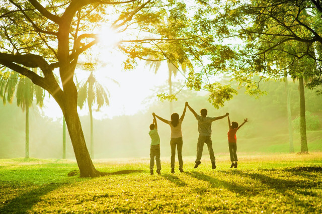 Park people summer autumn nature free wallpaper - medium preview image