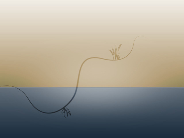 Plant water stem tail string free wallpaper - medium preview image