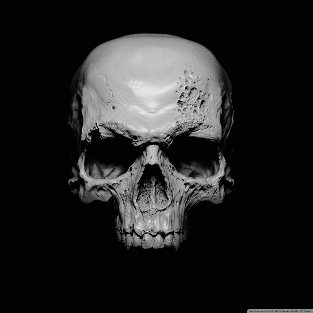 Skull black white photo background free wallpaper - medium preview image