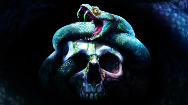 Skull snake head back coiling free wallpaper - medium preview image