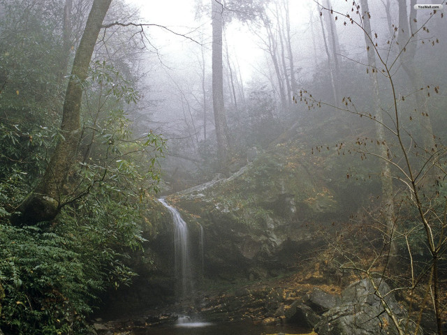 Waterfall forest fog trees yellow free wallpaper - medium preview image