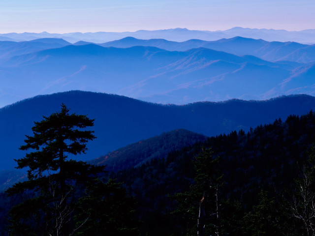 Mountain range tree blue sky free wallpaper - medium preview image