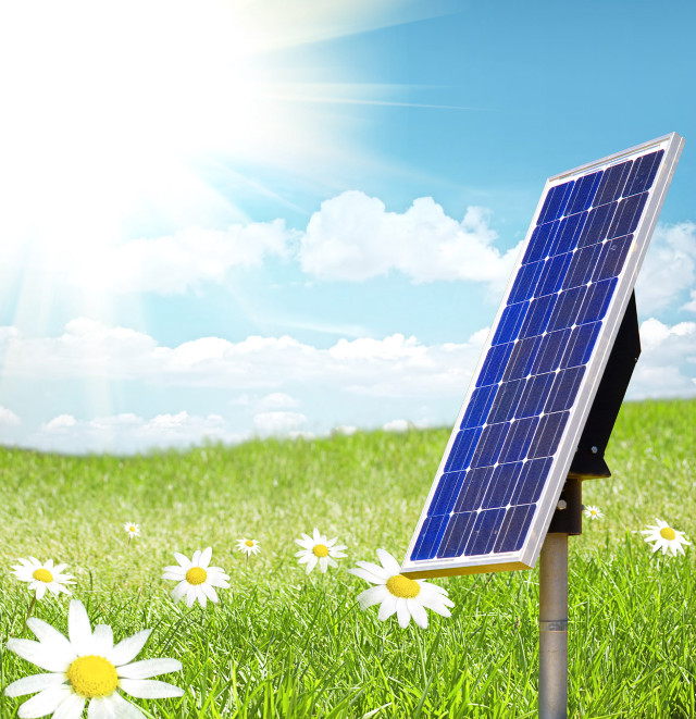 Solar panel daisy field foreground free wallpaper - medium preview image