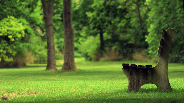 Bench grassy area trees background free wallpaper - medium preview image