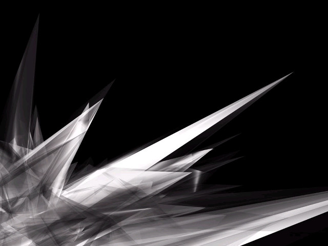 Black white bird wings spread free wallpaper - medium preview image