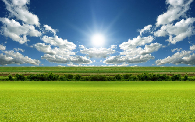 Sunlit field grass trees cityscape free wallpaper - medium preview image