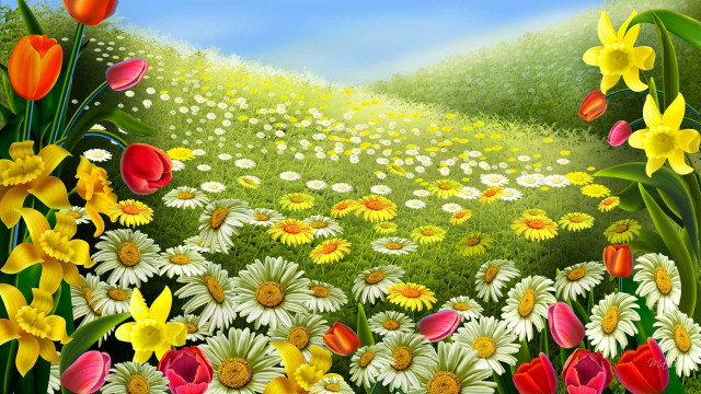 Field of flowers sky background #2 free wallpaper - medium preview image