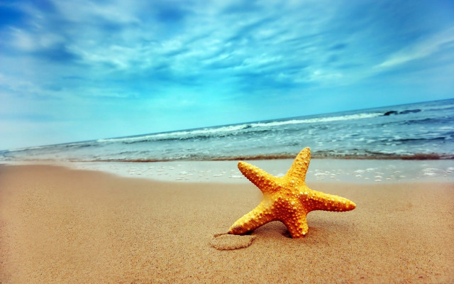 Starfish beach ocean waves crashing free wallpaper - medium preview image