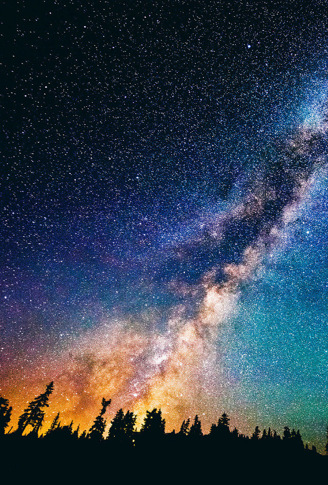 Night sky trees stars blue free wallpaper - medium preview image