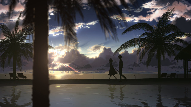 Couple walking beach sunset palm free wallpaper - medium preview image
