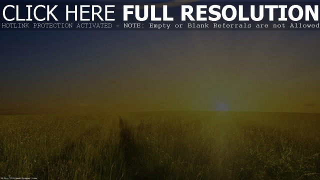 Field grass sunset background click free wallpaper - medium preview image