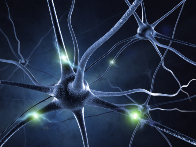 Human brain green light computer free wallpaper - medium preview image