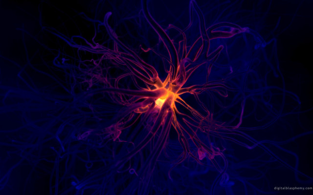 Blue red flower yellow center free wallpaper for desktop - medium preview image