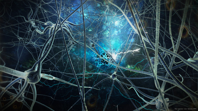 Tree blue light painting center free wallpaper - medium preview image