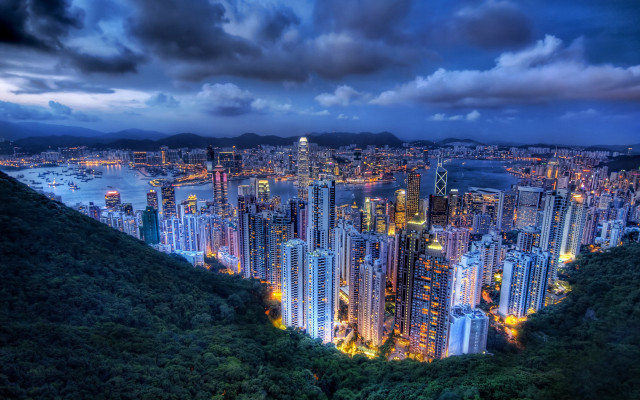 City skyline tall buildings trees #3 free wallpaper - medium preview image