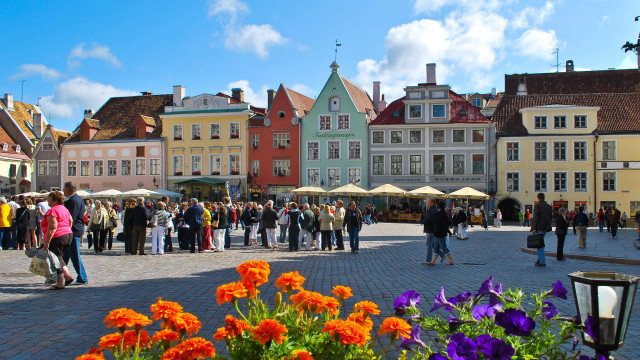 Cityscape flower autumn architecture puzzle free wallpaper - medium preview image