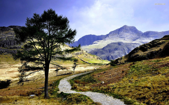 Winding path grassy valley mountains free wallpaper - medium preview image