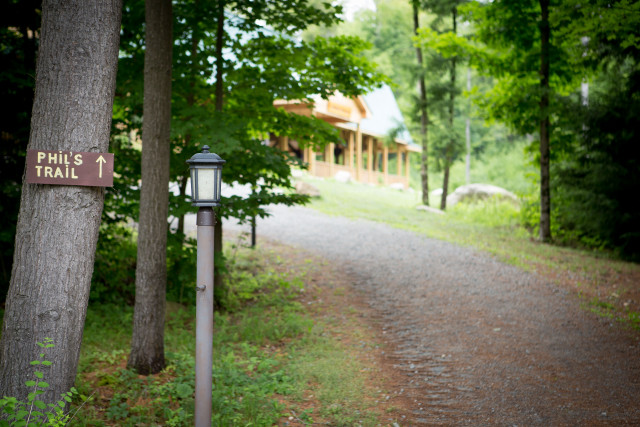 Trail sign tree road sheep free wallpaper - medium preview image
