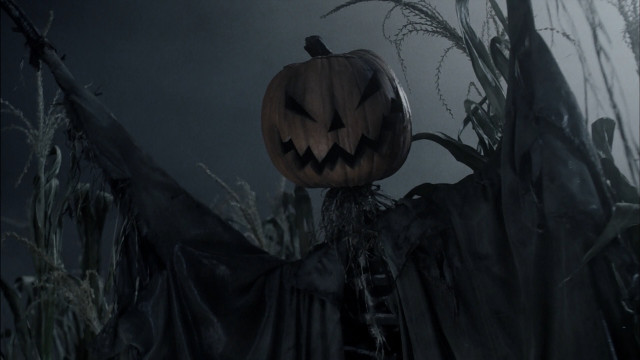 Pumpkin tree field grass dark free wallpaper - medium preview image
