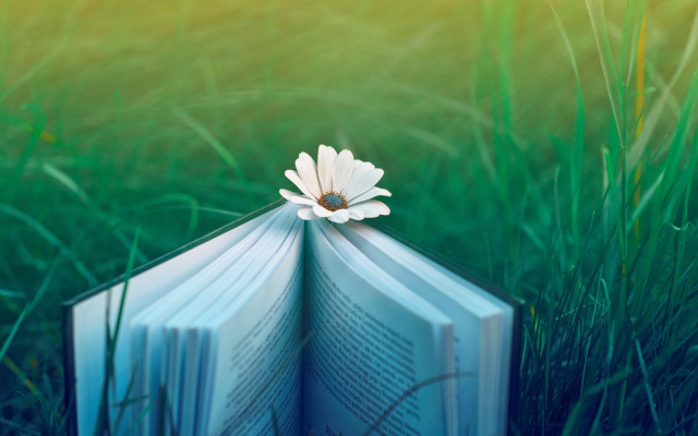 Book flower grass magical realist free wallpaper - medium preview image