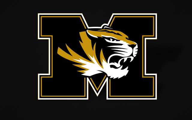 Black yellow tiger logo letter free wallpaper - medium preview image