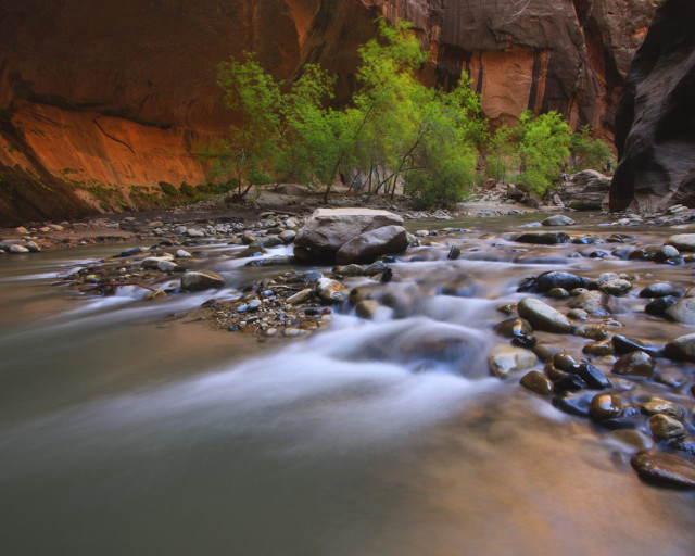 River canyon rocks trees green free wallpaper - medium preview image