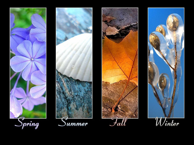 Flowers leaves spring pictures different free wallpaper - medium preview image