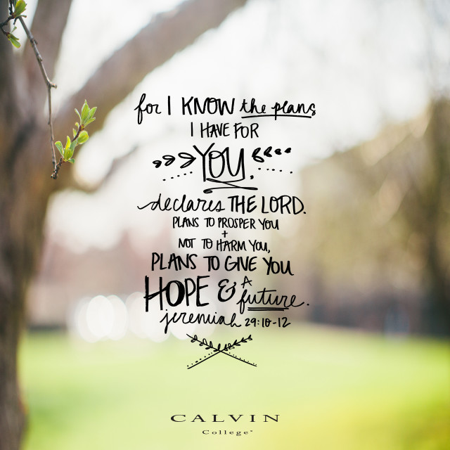 Tree bible verse grass field free wallpaper - medium preview image