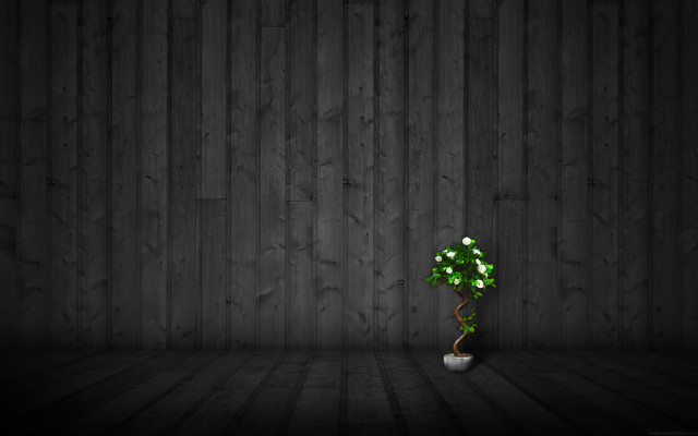 Small green plant white vase free wallpaper - medium preview image