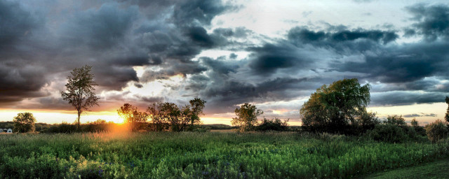 Field trees cloudy sky sunshine free wallpaper - medium preview image