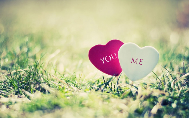 Two hearts you me grass free wallpaper - medium preview image