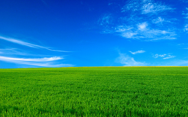Green field blue sky lone free wallpaper - medium preview image