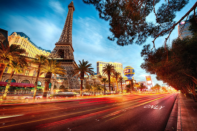 Tall tower palm trees autumn free wallpaper - medium preview image