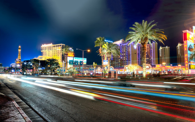 City street traffic palm trees free wallpaper - medium preview image