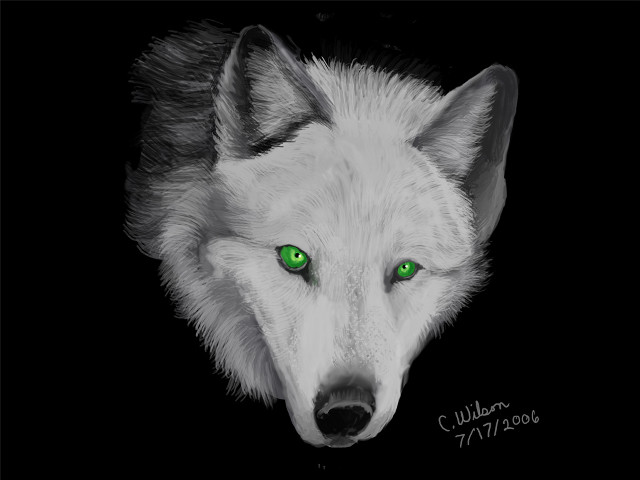 White wolf green eyes black free wallpaper - medium preview image