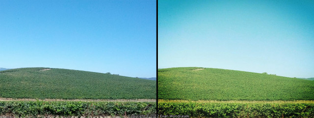 Green hill blue sky road free wallpaper - medium preview image