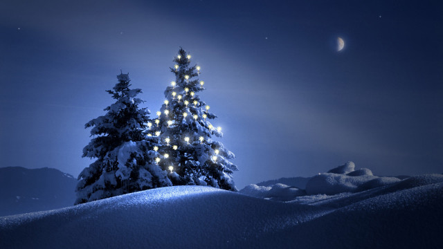 Snowy hill christmas tree moon #2 free wallpaper - medium preview image