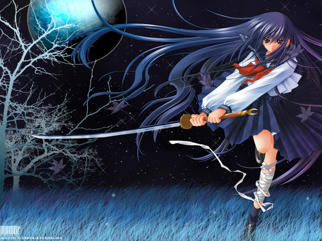 Girl long hair sword field free wallpaper - medium preview image