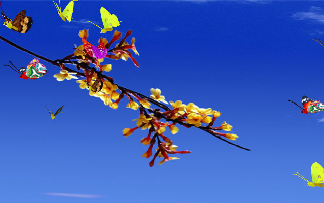 Butterflies tree branch yellow flowers free wallpaper - medium preview image