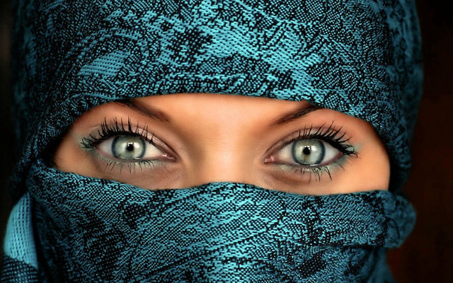 Blue eyes scarf snake skin free wallpaper - medium preview image