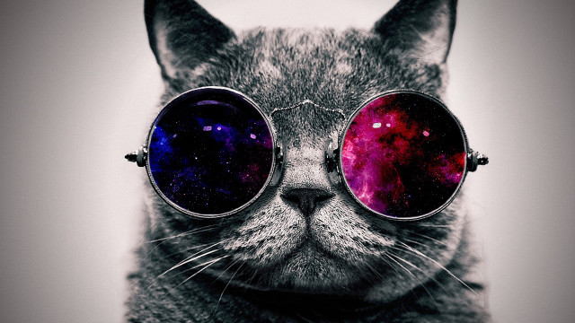 Cat glasses space theme lens free wallpaper - medium preview image