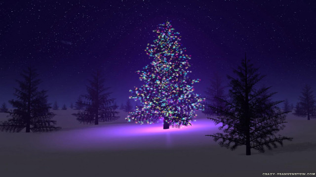 Christmas tree snow night purple #3 free wallpaper - medium preview image