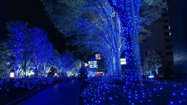 Pathway blue lights park night free wallpaper - medium preview image