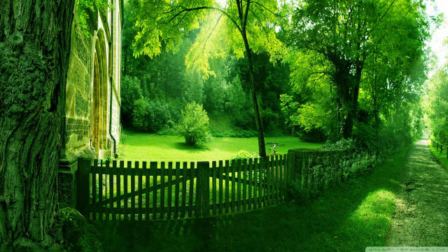 Green landscape wooden fence tree free wallpaper - medium preview image