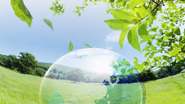 Bubble field trees person foreground free wallpaper - medium preview image