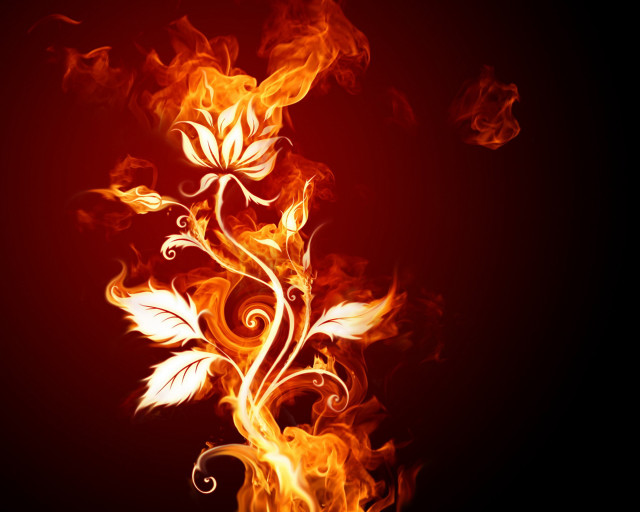 Fire flower swirls leaves black free wallpaper - medium preview image