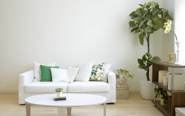 White couch white table plant free wallpaper - medium preview image