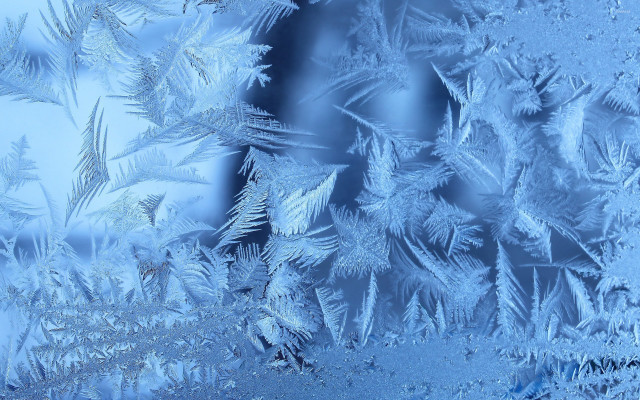 Frosty window leaves blue sky free wallpaper - medium preview image