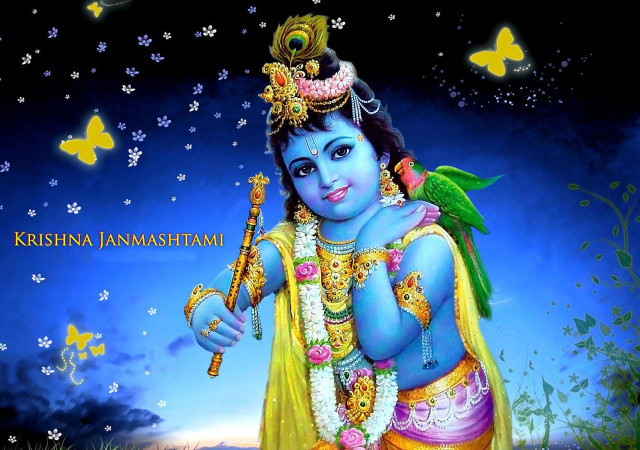Hindu god flute bird shoulder free wallpaper - medium preview image